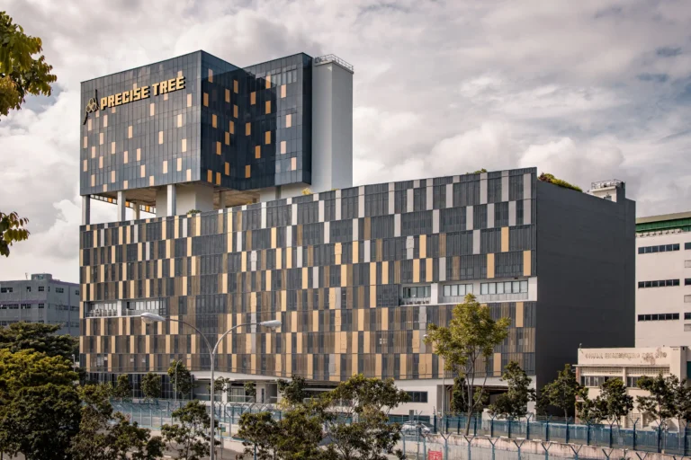 Precise Tree @ Kim Chuan Drive